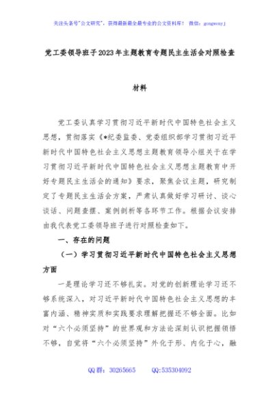 党工委领导班子2023年主题教育专题民主生活会对照检查材料
