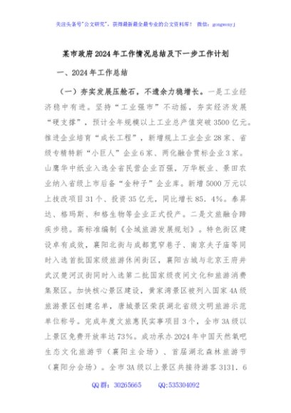 某市政府2024年工作情况总结及下一步工作计划