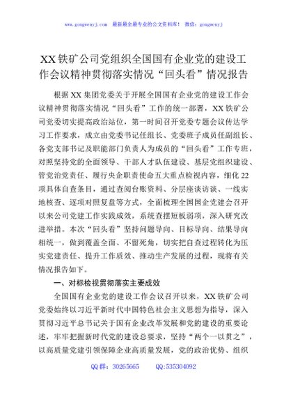XX铁矿公司党组织全国国有企业党的建设工作会议精神贯彻落实情况“回头看”情况报告
