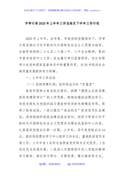 市审计局2025年上半年工作总结及下半年工作计划