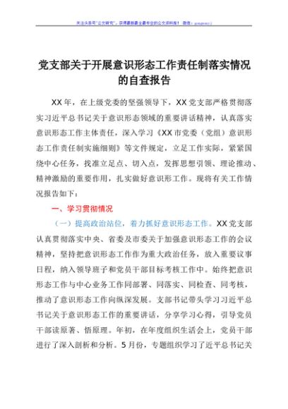 党支部关于开展意识形态工作责任制落实情况的自查报告