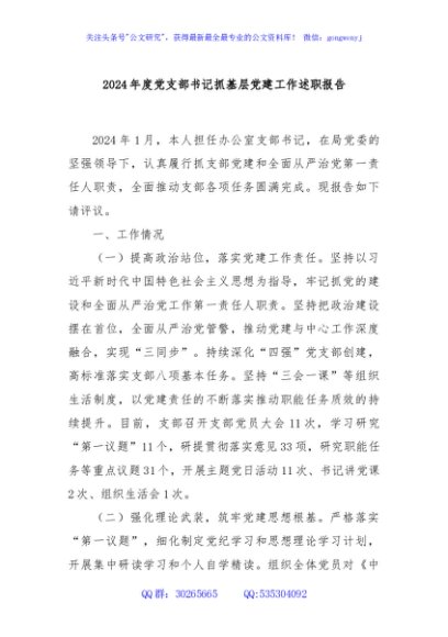 2024年度党支部书记抓基层党建工作述职报告