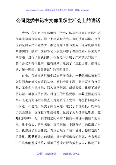 公司党委书记在支部组织生活会上的讲话