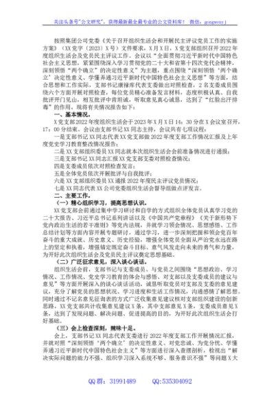 公司党支部关于2022年度组织生活会召开情况的报告