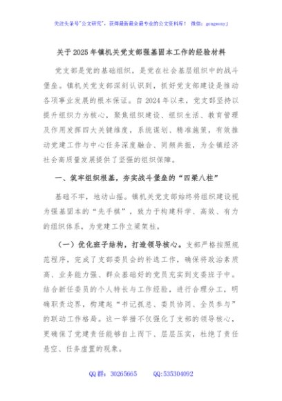 关于2025年镇机关党支部强基固本工作的经验材料