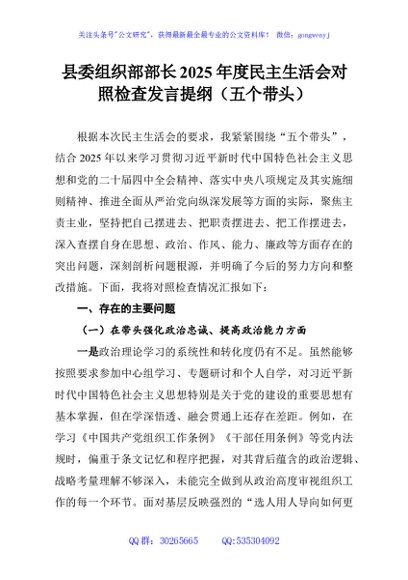 县委组织部部长2025年度民主生活会对照检查发言提纲（五个带头）