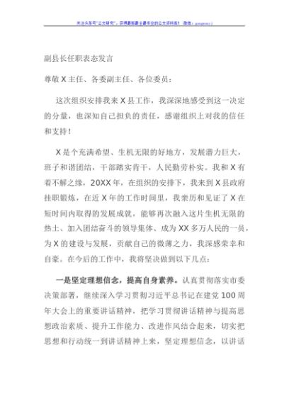 副县长任职表态发言