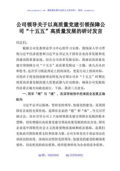 公司领导关于以高质量党建引领保障公司“十五五”高质量发展的研讨发言