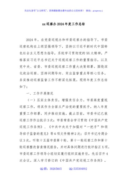 xx巡察办2024年度工作总结