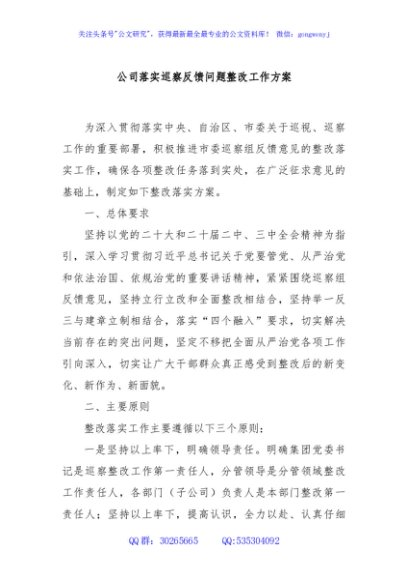 公司落实巡察反馈问题整改工作方案