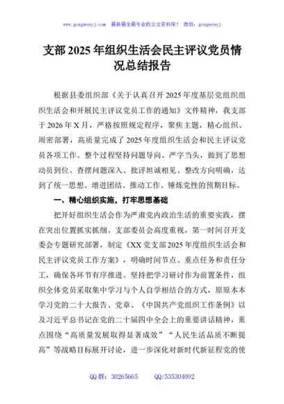 支部2025年组织生活会民主评议党员情况总结报告
