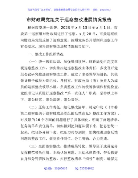 财政系统巡察整改进展情况总结报告