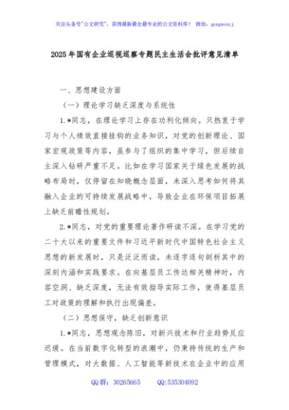 2025年国有企业巡视巡察专题民主生活会批评意见清单