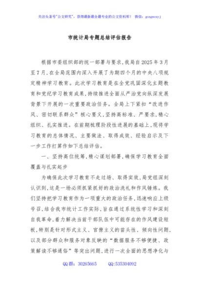 市统计局专题总结评估报告