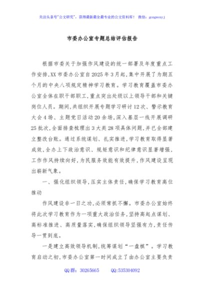 市委办公室专题总结评估报告