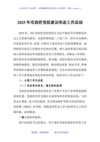 2025年市政府党组意识形态工作总结