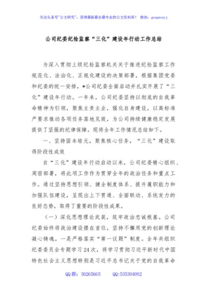 公司纪委纪检监察“三化”建设年行动工作总结