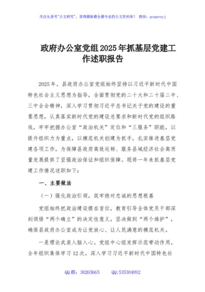 政府办公室党组2025年抓基层党建工作述职报告