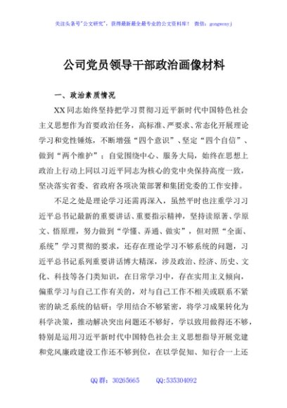 公司党员领导干部政治画像材料