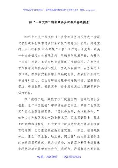 执“一号文件”密钥擘画乡村振兴奋进图景