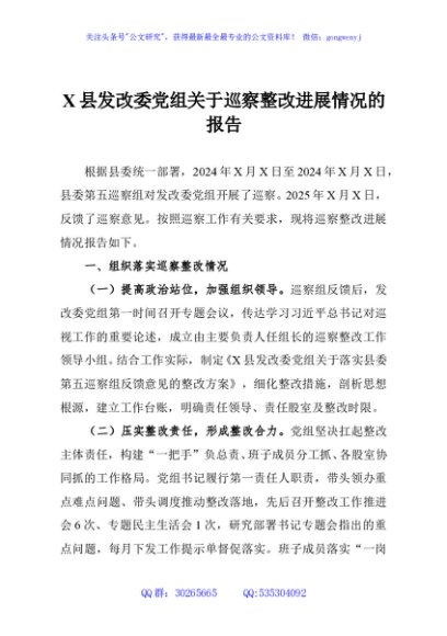 X县发改委党组关于巡察整改进展情况的报告