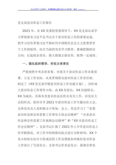 党支部意识形态工作报告