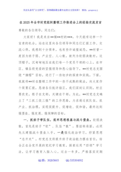 在2025年全市村党组织整顿工作推进会上的经验交流发言