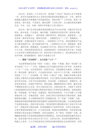 镇2022年迎检工作汇报材料