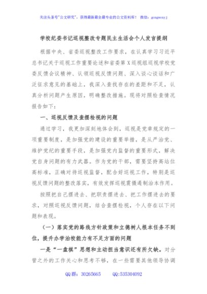 学校纪委书记巡视整改专题民主生活会个人发言提纲