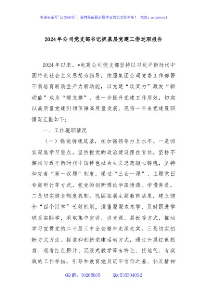 2024年公司党支部书记抓基层党建工作述职报告