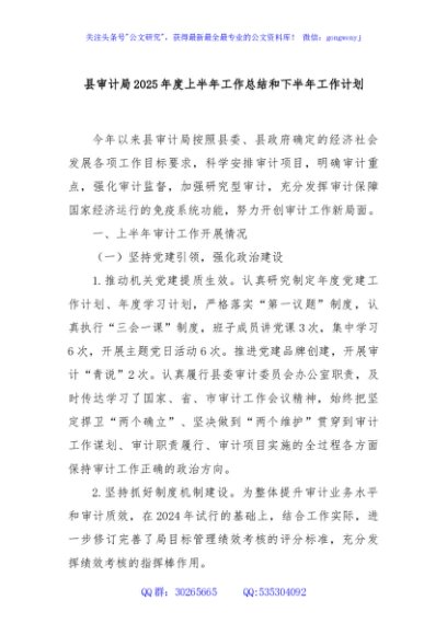 县审计局2025年度上半年工作总结和下半年工作计划