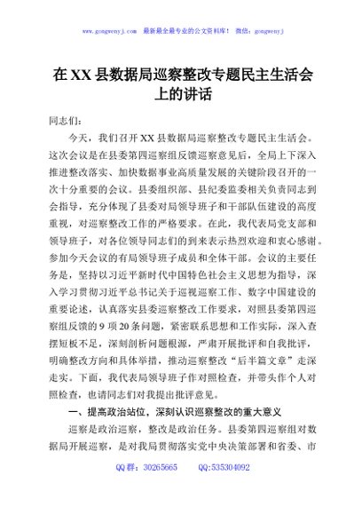 在XX县数据局巡察整改专题民主生活会上的讲话