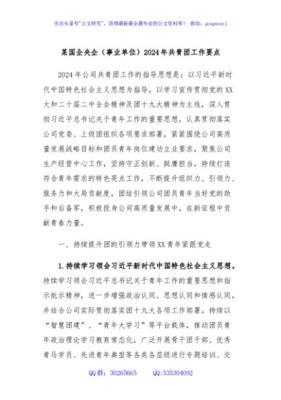某国企央企（事业单位）2024年共青团工作要点