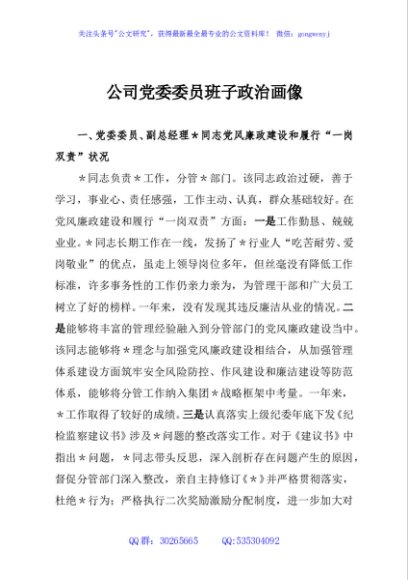 公司党委委员班子政治画像
