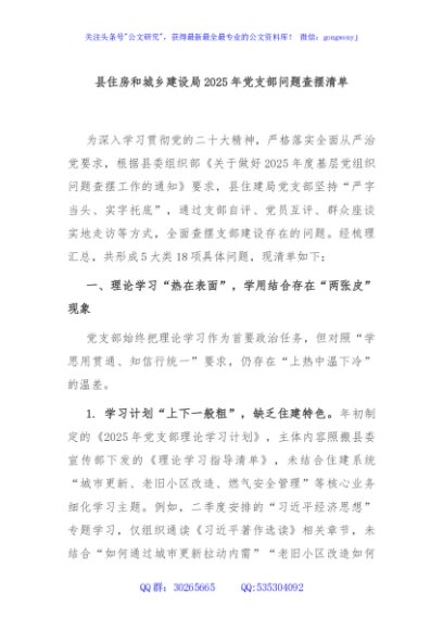 县住房和城乡建设局2025年党支部问题查摆清单