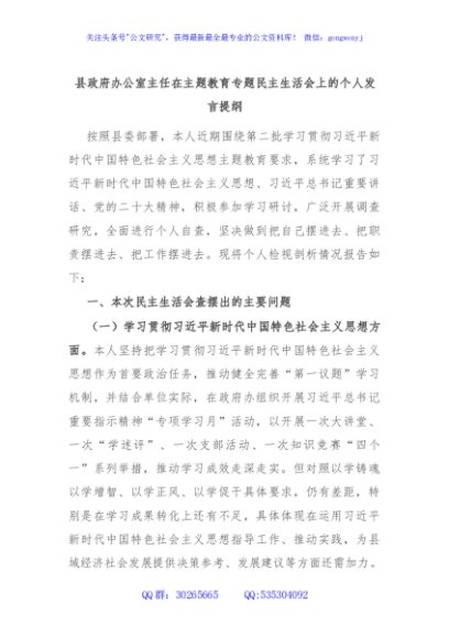县政府办公室主任在主题教育专题民主生活会上的个人发言提纲
