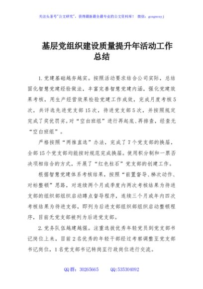 基层党组织建设质量提升年活动工作总结