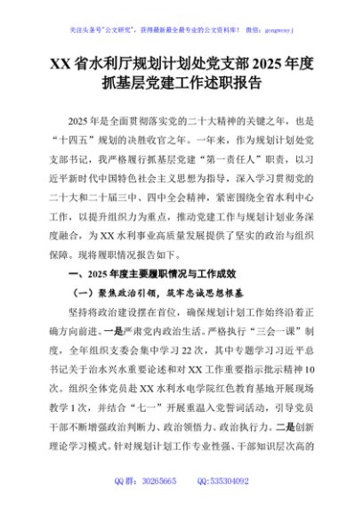 XX省水利厅规划计划处党支部2025年度抓基层党建工作述职报告