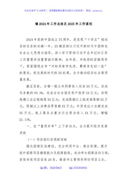 镇2024年工作总结及2025年工作谋划