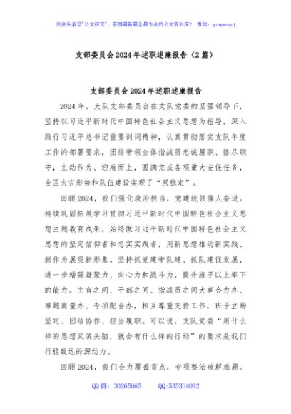 (2篇)支部委员会2024年述职述廉报告