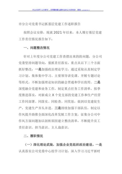 市分公司党委书记抓基层党建工作述职报告
