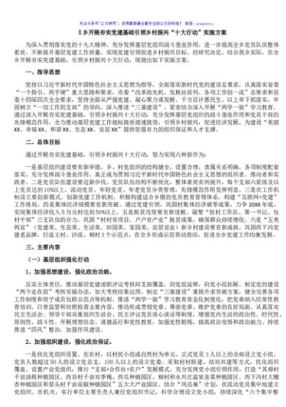 X乡开展夯实党建基础引领乡村振兴“十大行动”实施方案