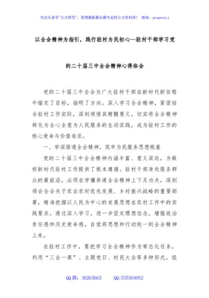 以全会精神为指引，践行驻村为民初心—驻村干部学习党的二十届三中全会精神心得体会