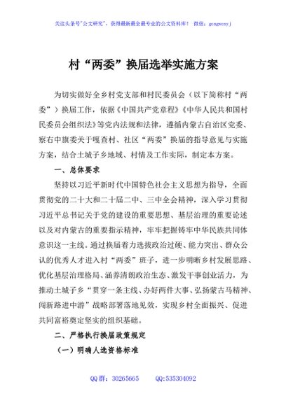 村“两委”换届选举实施方案