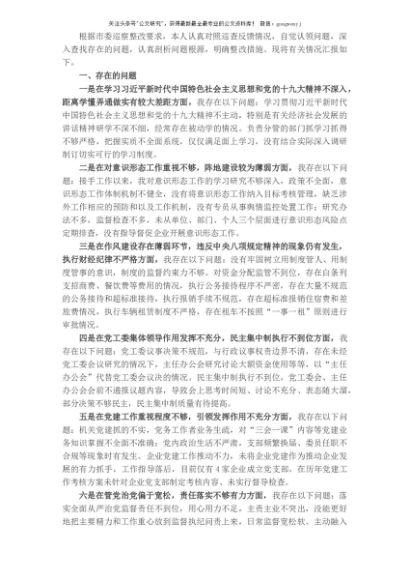 巡察整改专题民主生活会个人剖析材料