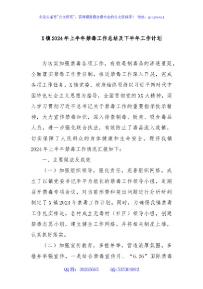 X镇2024年上半年禁毒工作总结及下半年工作计划