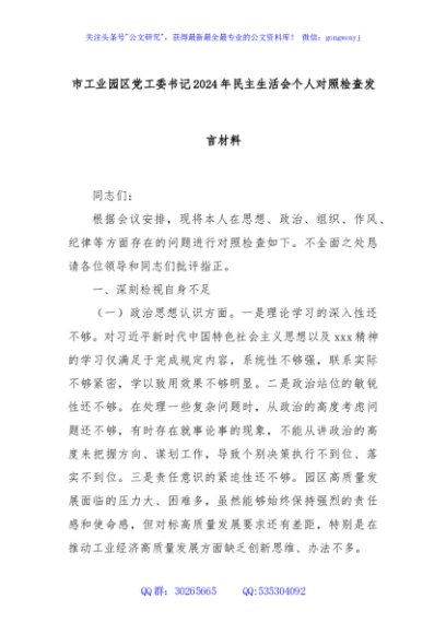 市工业园区党工委书记2024年民主生活会个人对照检查发言材料