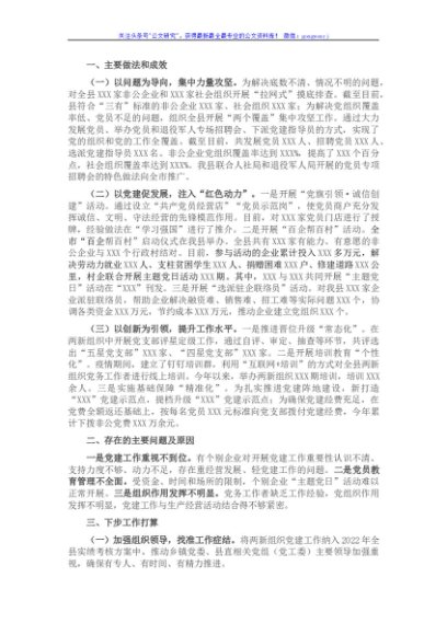 2021年度两新工委抓基层党建工作述职报告