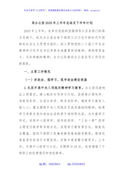 局办公室2025年上半年总结及下半年计划