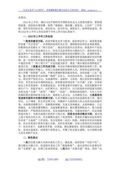 镇人民政府2022年上半年工作总结和下半年工作计划